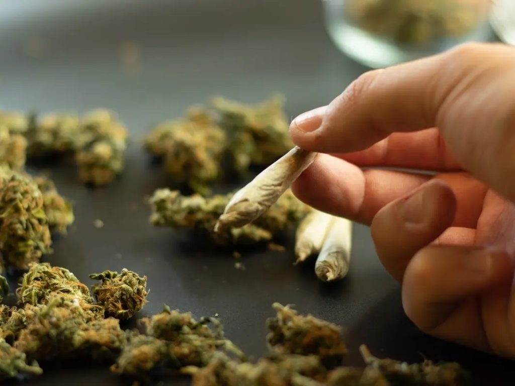 A Guide on Using THCA Flower Safely as Per Experts from The Best Smoke Shop in Fort Worth. Smoke and Vape DZ